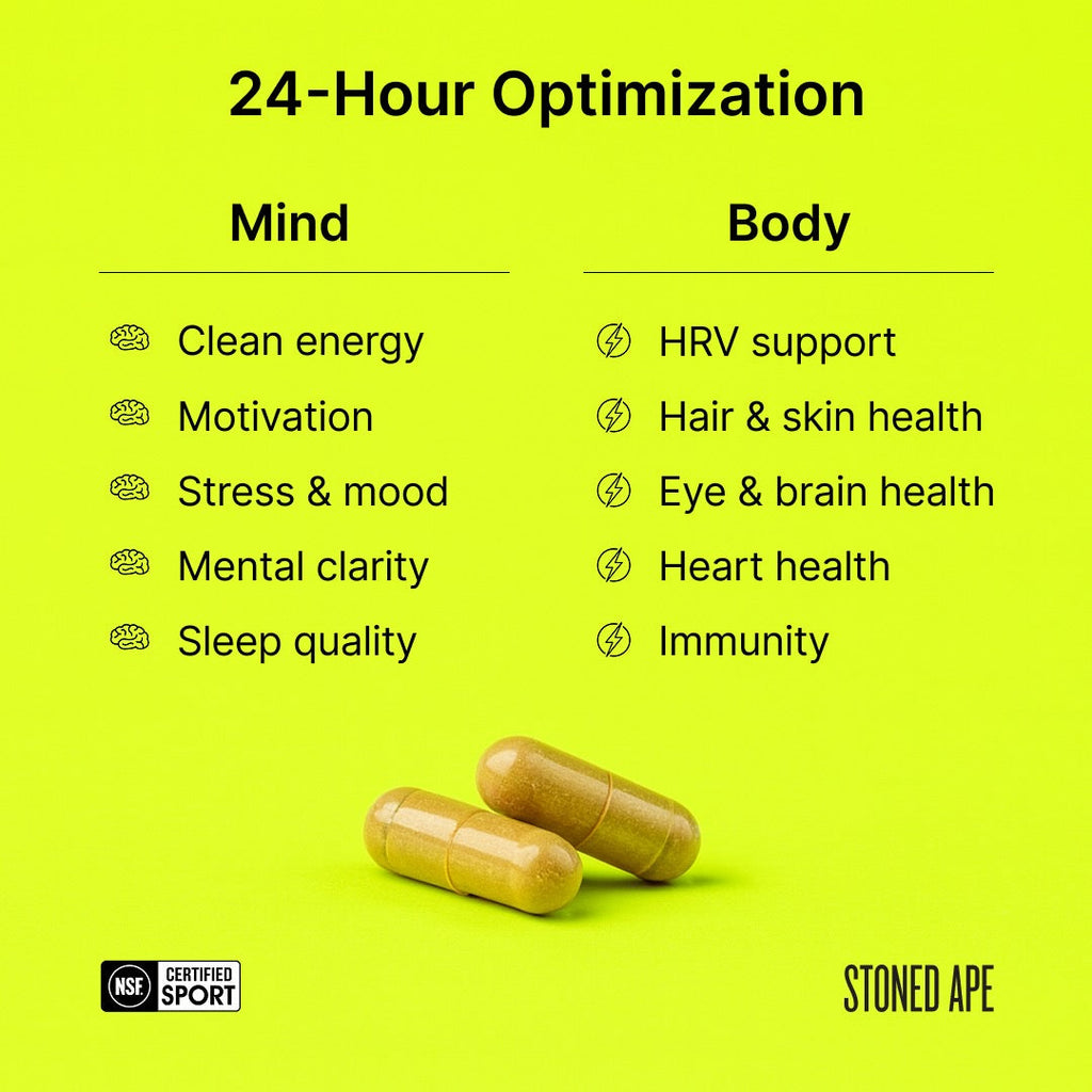 Nootropack: Our Nootropic Bundle
